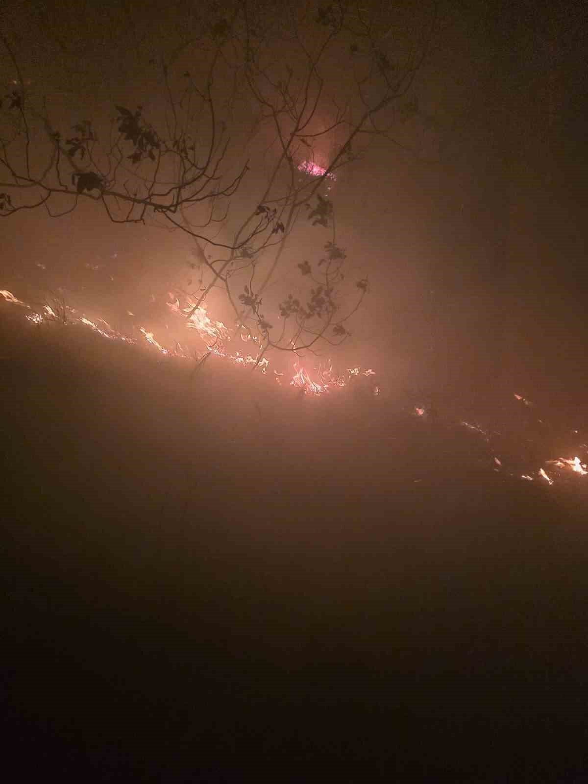 Hatay'ın Arsuz ilçesi Karagöz Mahallesi'ndeki ormanlık alana yıldırım düştü. Yangın