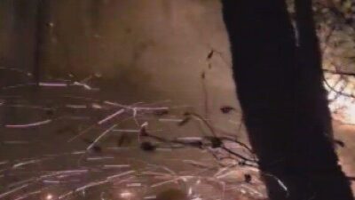 Hatay'ın Arsuz ilçesinde, akşam saatlerinde yağış sonrası düşen yıldırım orman