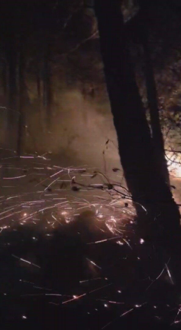 Hatay'ın Arsuz ilçesinde, akşam saatlerinde yağış sonrası düşen yıldırım orman