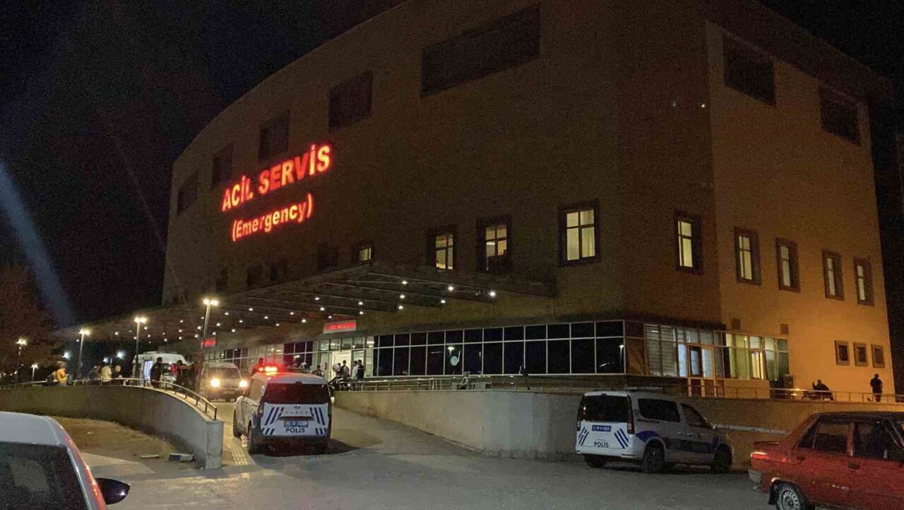 Çorum'un Ortaköy ilçesinde hayvan otlatma yüzünden çıkan bir tartışma, Cemal