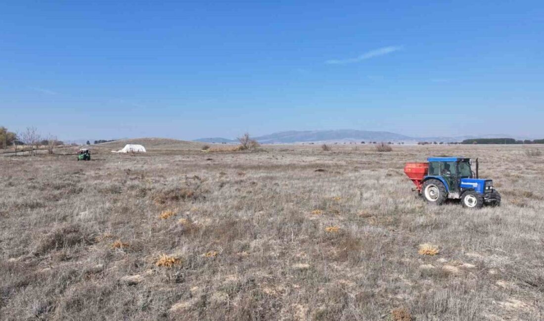 Denizli İl Tarım ve Orman Müdürlüğü, 2025 yılı programı kapsamında