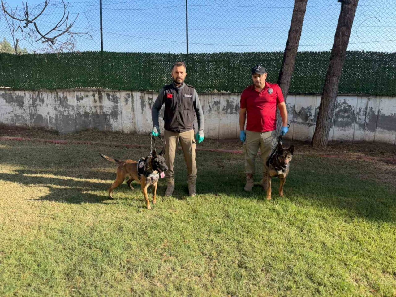 Batman'da görevli narkotik köpekleri Hector ve Mailo, son dönemdeki başarılı