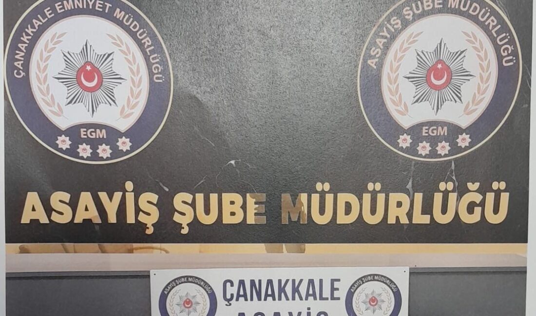 Çanakkale'de iki araca yapılan hırsızlık olayına karışan L.B. adlı şüpheli,