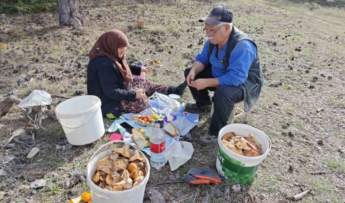 Kütahya’da Mantar Avına Çıkmadan Önce Kahvaltı Yapan Çift Doğanın Keyfini Çıkarıyor Kütahya’nın Hisarcık ilçesinde yaşayan Ali Gökkaya (62) ve eşi Hafize