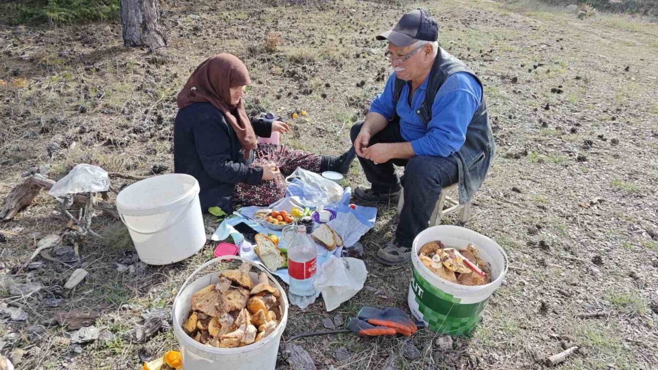 Kütahya’nın Hisarcık ilçesinde yaşayan Ali Gökkaya (62) ve eşi Hafize