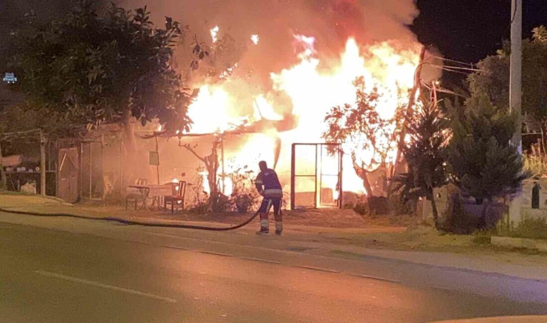 Erdemli’de Mutfak Tüpleri Taşıyan Ahşap Barakada Yangın Paniği Yaşandı Mersin’in Erdemli ilçesinde, Limonlu Mahallesi'nde bulunan bir hobi bahçesindeki ahşap