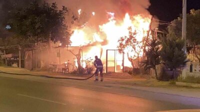 Mersin’in Erdemli ilçesinde, Limonlu Mahallesi'nde bulunan bir hobi bahçesindeki ahşap