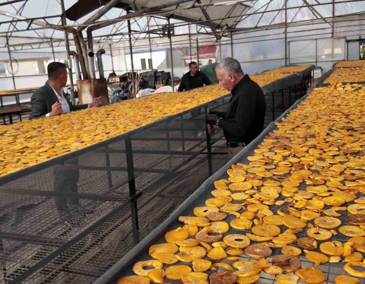 Honaz Belediyesi, cennet hurması cipsi üretimiyle hem yerel çiftçilere ek