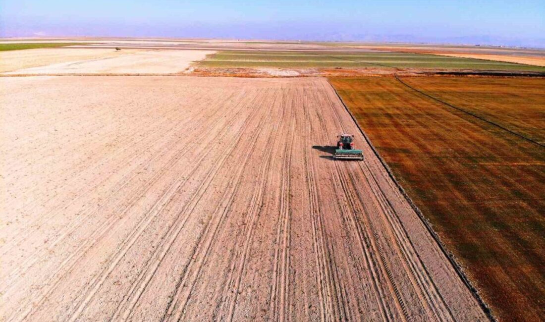 Konya Ovası’nda beklenen yağmur, çiftçilerin umudunu artırdı. Ziraat Mühendisleri Odası