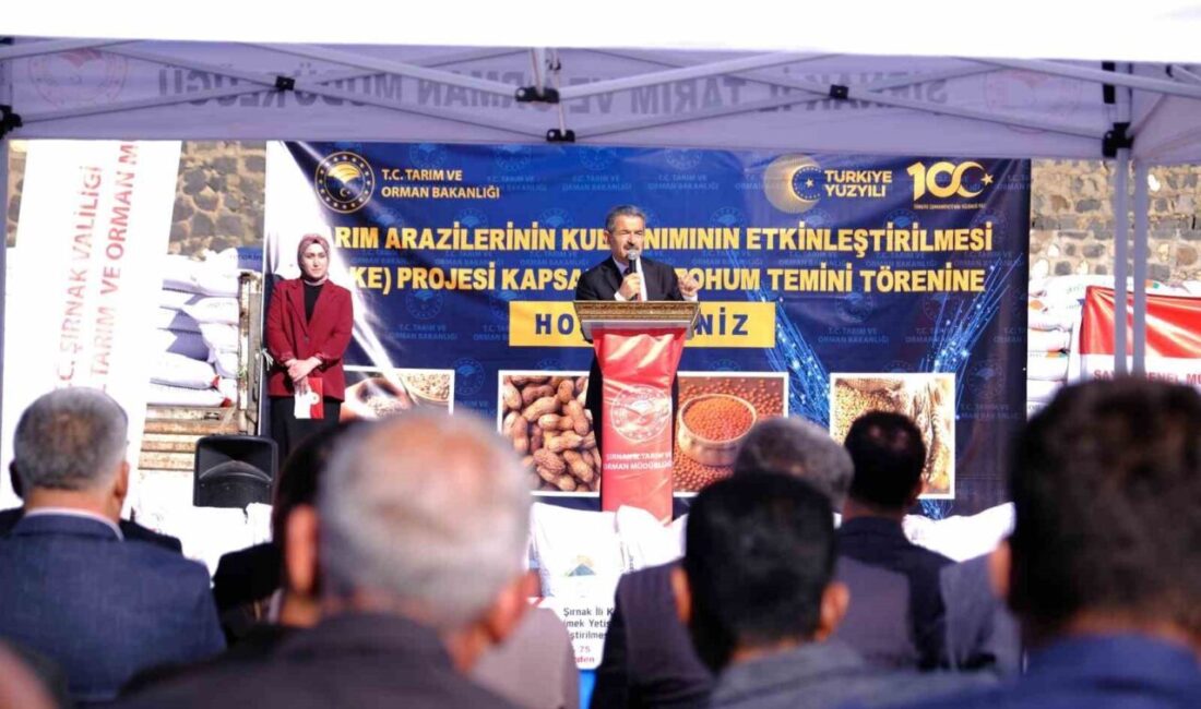 Şırnak’ın İdil ilçesinde çiftçilerin gelirini artırmayı amaçlayan "Kırmızı Mercimek Yetiştiriciliğinin