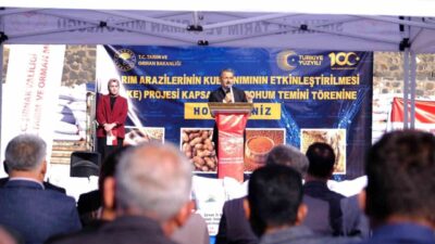 Şırnak’ın İdil ilçesinde çiftçilerin gelirini artırmayı amaçlayan "Kırmızı Mercimek Yetiştiriciliğinin