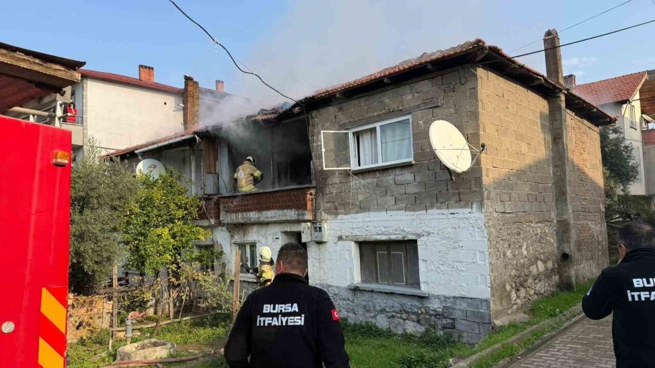 Bursa'nın İznik ilçesinde, Mustafa Kemal Paşa Mahallesi'ndeki bir evde çıkan