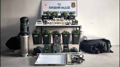 Eskişehir'de jandarma ekipleri, kenevir yetiştiren 3 kişiye yönelik operasyon düzenledi.