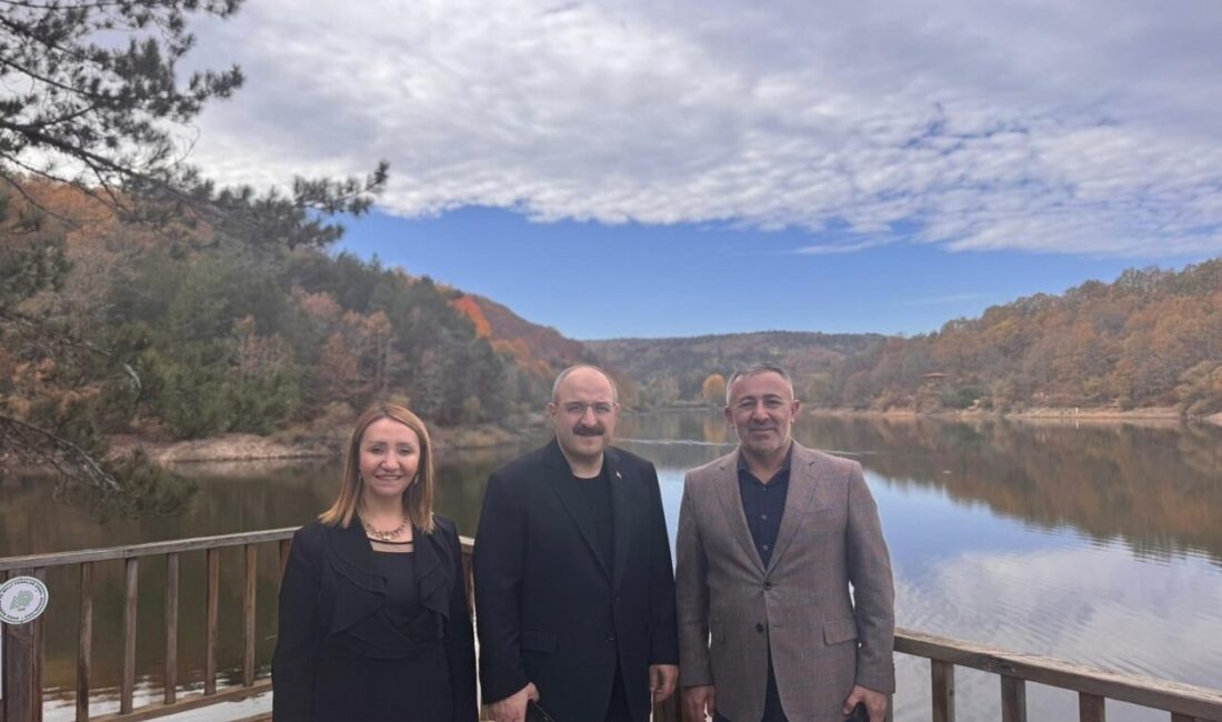 AK Parti Bilecik İl Başkanı Serkan Yıldırım, eski Sanayi ve