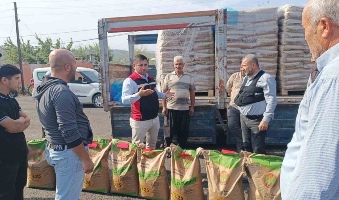 Adana'nın İmamoğlu ilçesinde 17 Ağustos 2025'teki orman yangınında bahçeleri etkilenen