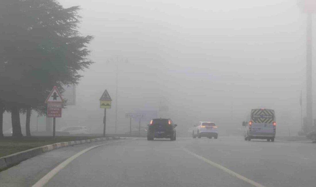 İnegöl’de Sabah Saatlerinde Yoğun Sis, Trafiği Olumsuz Etkiledi Bursa'nın İnegöl ilçesinde sabah saatlerinde etkili olan yoğun sis, görüş