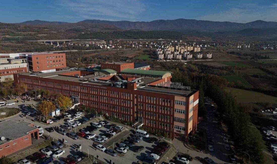 Bolu'nun Göynük ilçesinde bir enerji santralinde meydana gelen olayda, işçi