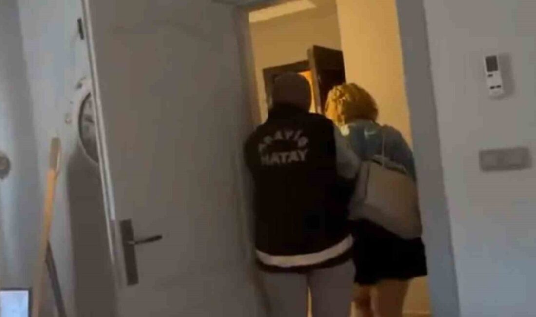 Hatay'ın İskenderun ilçesinde gerçekleştirilen denetimlerde, kaçak olarak çalışan iki yabancı