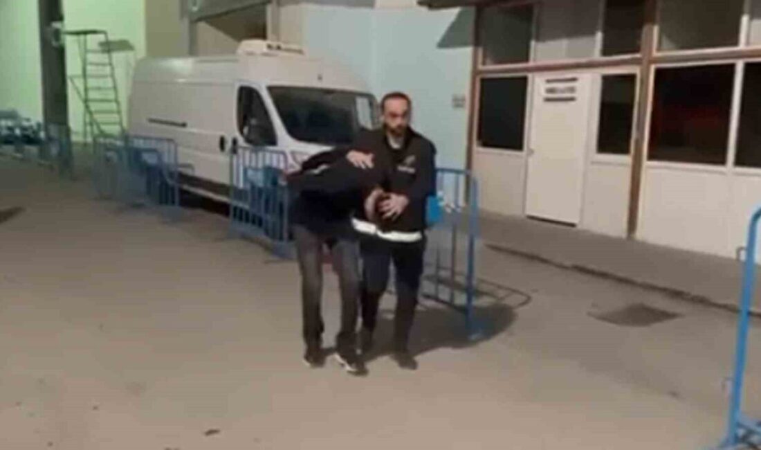 Hatay'ın İskenderun ilçesinde, silahlı tehdit, konut dokunulmazlığı ihlali, yağma ve