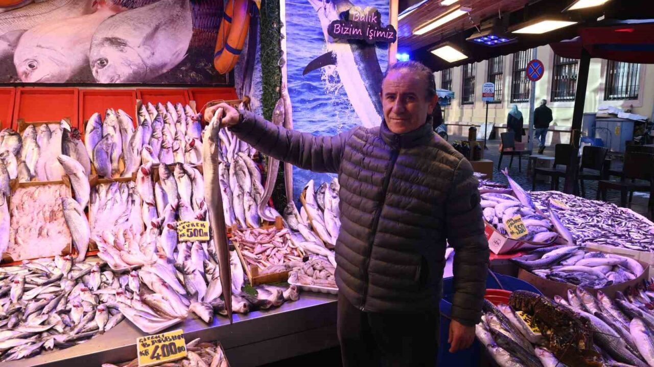 Eskişehir'de, Mersin İskenderun'dan getirilen yılan balığı lüks restoran ve özel