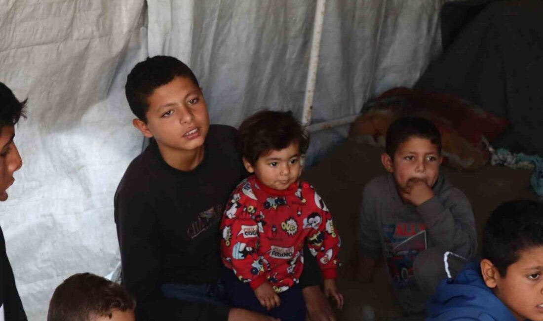 Gazze'deki İsrail saldırılarında 5 oğlunu kaybeden Reda Alouwa, 36 torununa