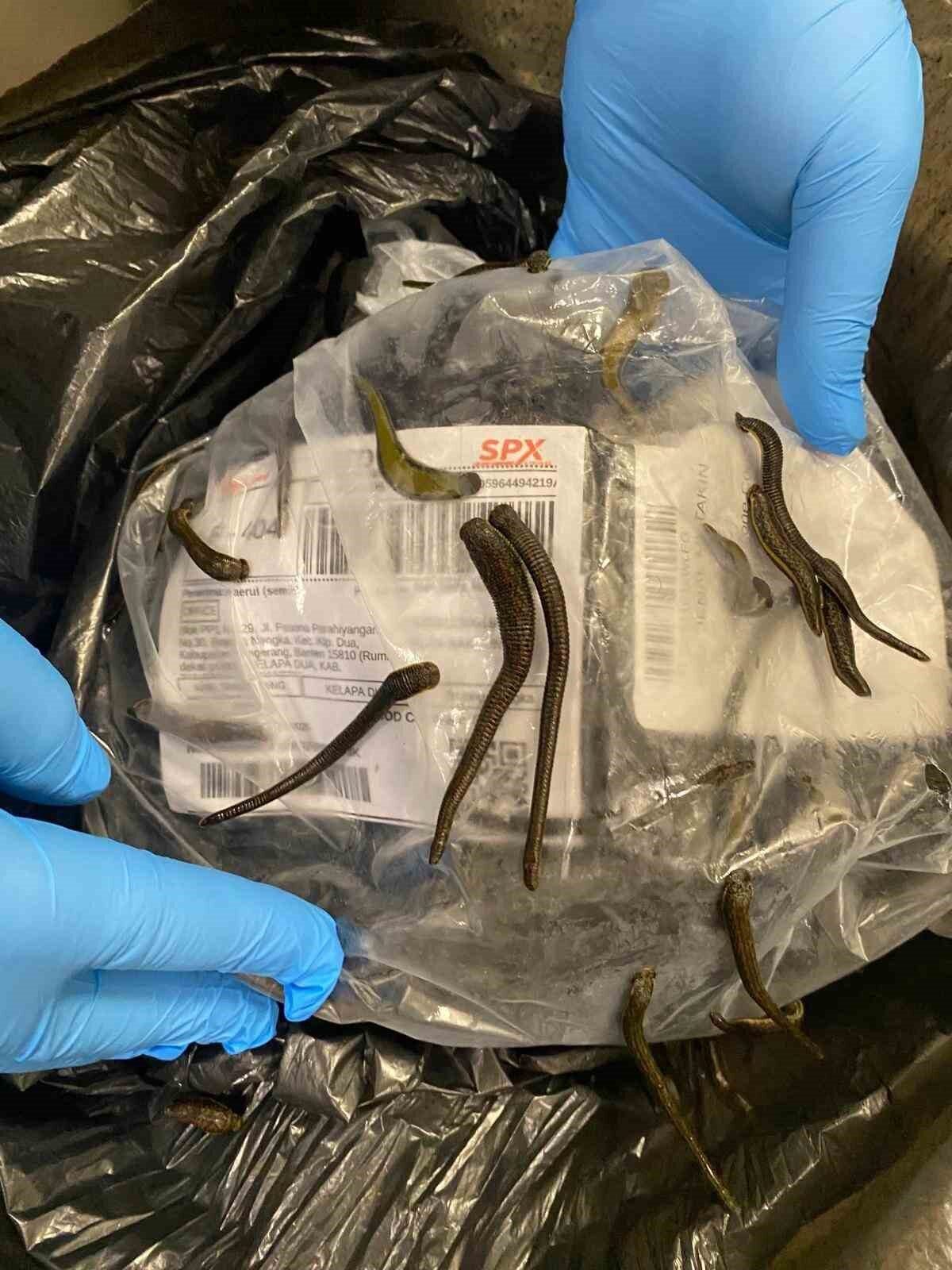 İstanbul Havalimanı'nda yasa dışı yollarla getirilmeye çalışılan 1,5 kilogram ağırlığında