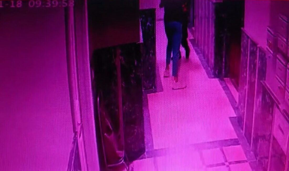 Pendik’te Eşi Bıçaklanarak Öldürülen Şüpheli Sakarya’da Bulundu, Başından Vurulmuş Halde Ölü Aşama! Pendik'te madde bağımlısı Sedat A. (33), karısı Firdevs A. (34)