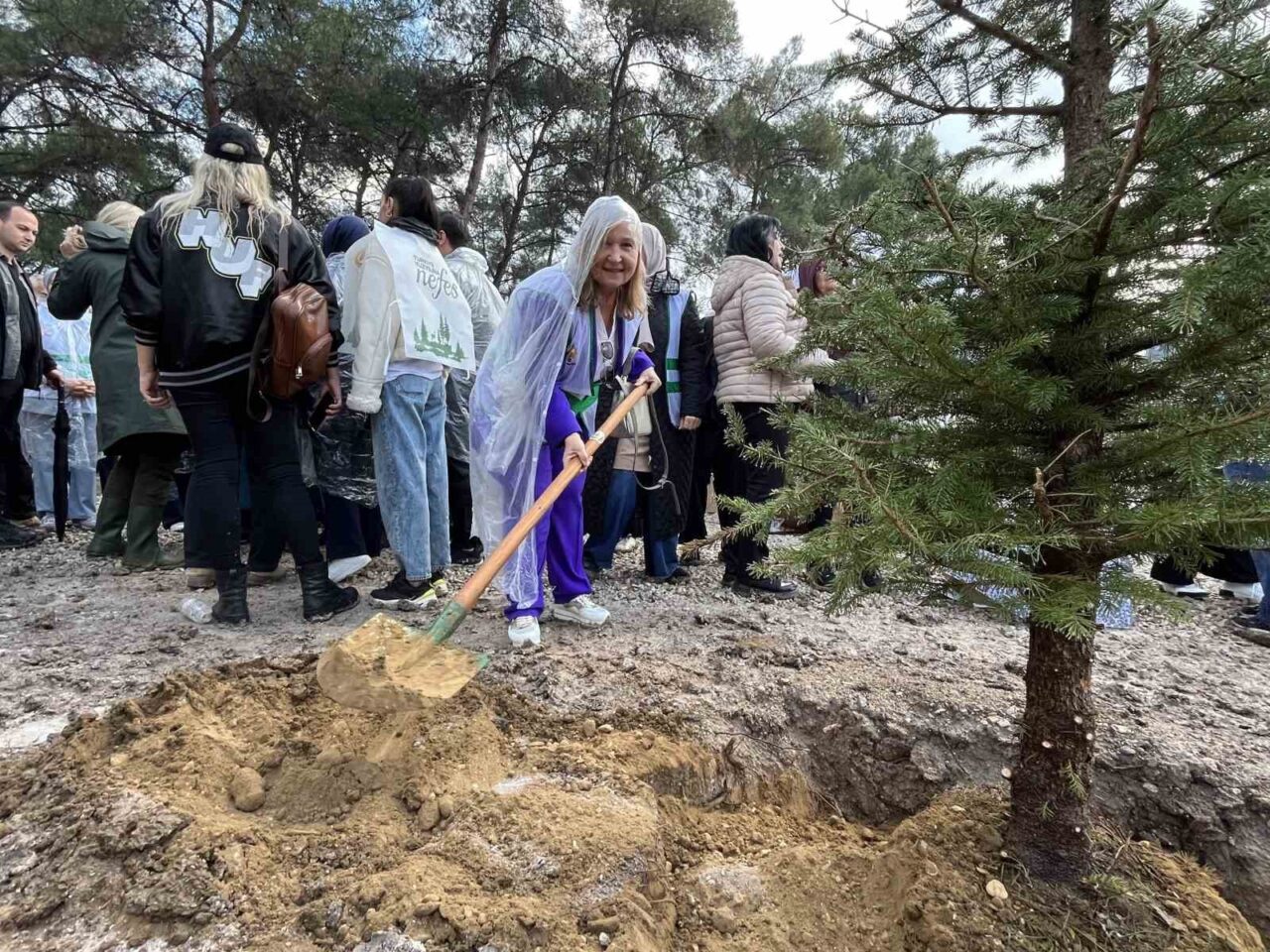 İzmir’de 11 Kasım Milli Ağaçlandırma Günü’nde 115 Bin Fidan Toprakla Buluştu