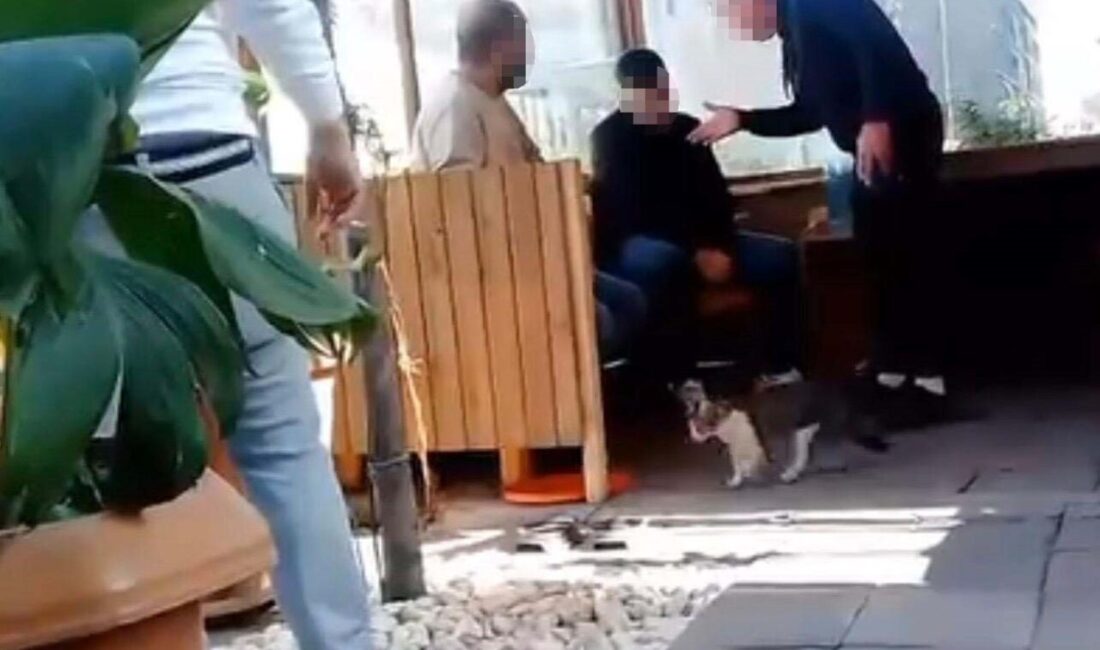 İzmir'de bir taksi şoförünün kazandığı paraları ve bir müşterinin cüzdanını