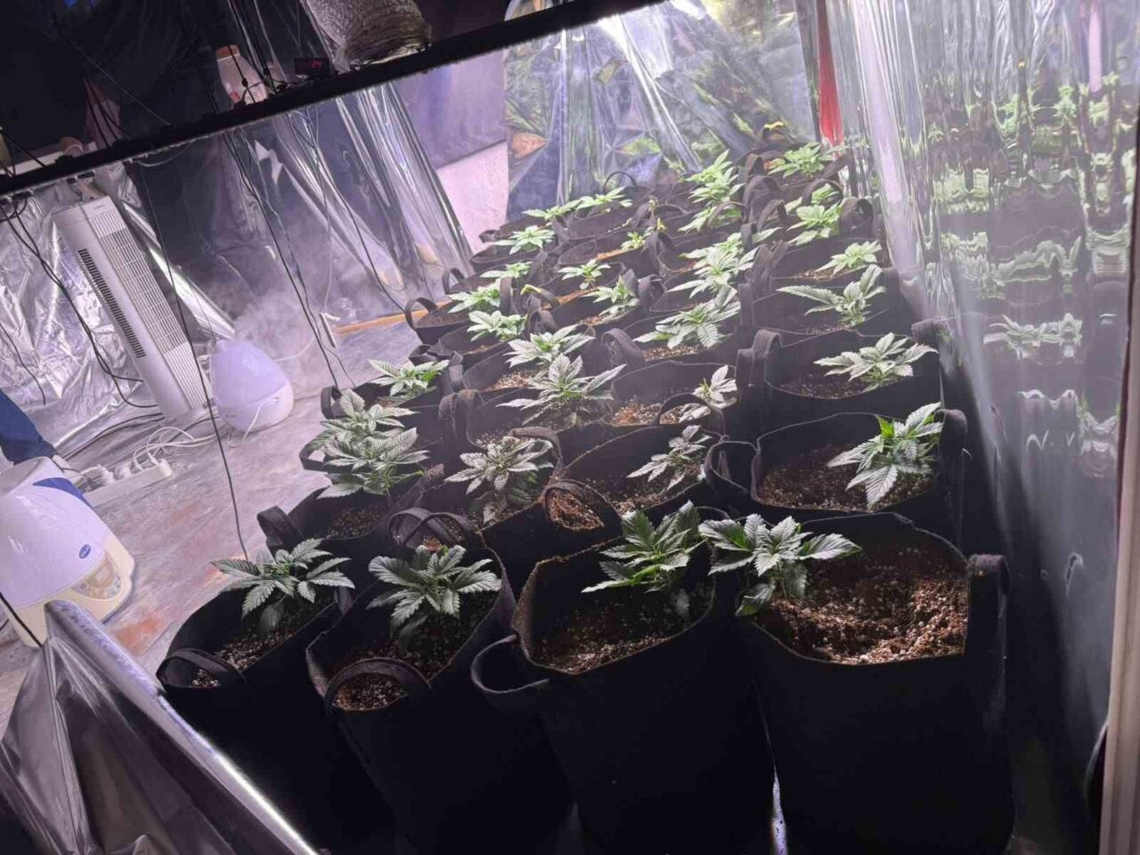 İzmir'in Konak ilçesinde uyuşturucu ve silahla yakalanan Y.K., emniyetteki işlemlerinin