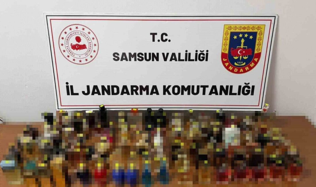 Samsun'da jandarma, İlkadım ilçesinde gümrük kaçağı parfüm bulunduran bir kişiyi