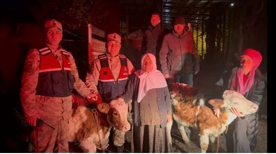 Ardahan'ın Posof ilçesinde çalınan 2 büyükbaş hayvan, Jandarma'nın titiz çalışmaları