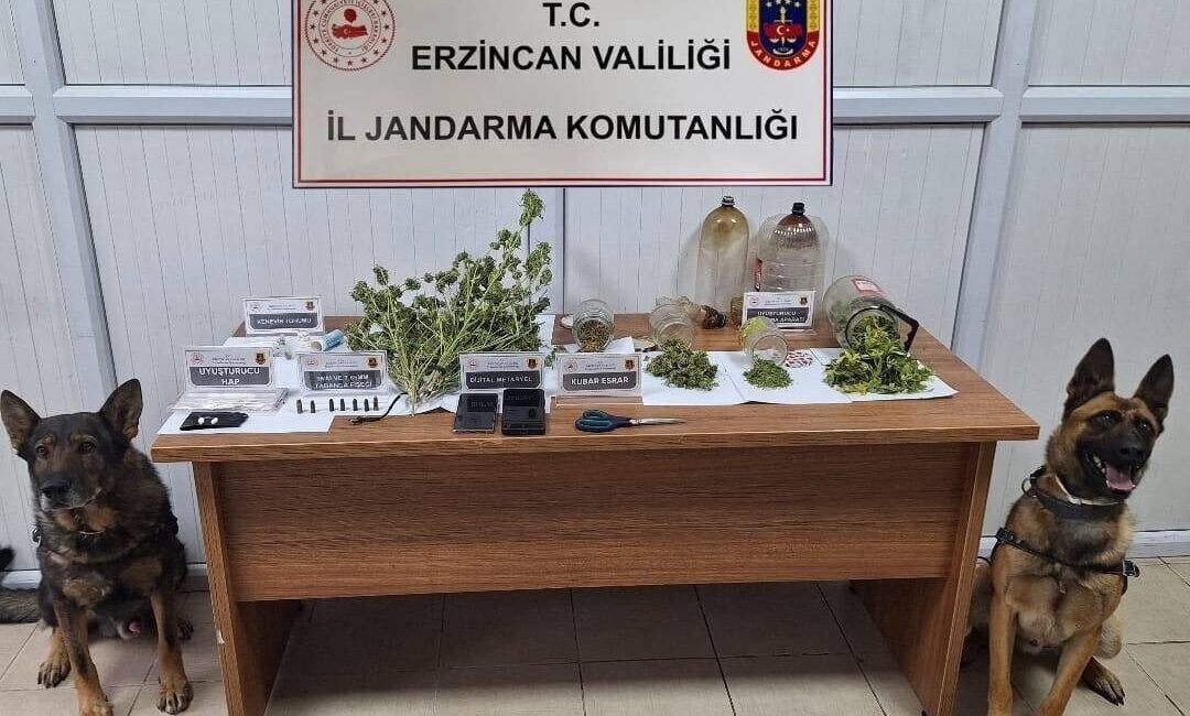 Erzincan Jandarma Komutanlığı, Kasım 2025 Aylık Güvenlik Raporunu Açıkladı: Olayların Yüzde 93’ü Çözüldü Erzincan İl Jandarma Komutanlığı, Kasım 2025'te gerçekleştirilen asayiş ve trafik