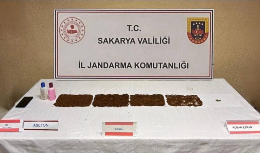 Sakarya’nın Serdivan ilçesinde jandarma, uyuşturucu operasyonu düzenleyerek 43 yaşındaki S.S.’yi