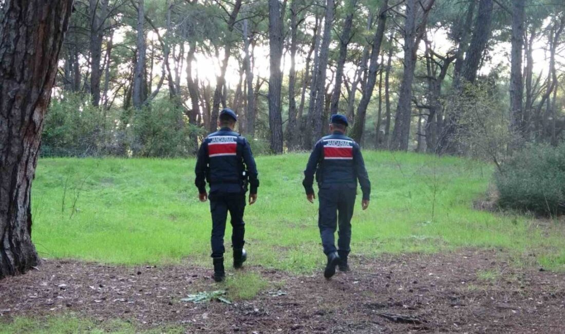 Manavgat’ta Orman Yangınlarına Karşı Denetimler Arttı: Yasağı İhlal Edenler Ceza Almaktan Kaçınamasın! Manavgat'taki Sorgun ormanlarında, vatandaşların ormanlık alanda mangal ve ateş yakmalarına