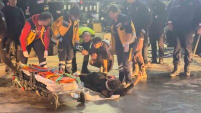 Edirne'de dur ihtarına uymayan motosiklet sürücüsü B.B.Y., polis aracıyla çarpıştı.