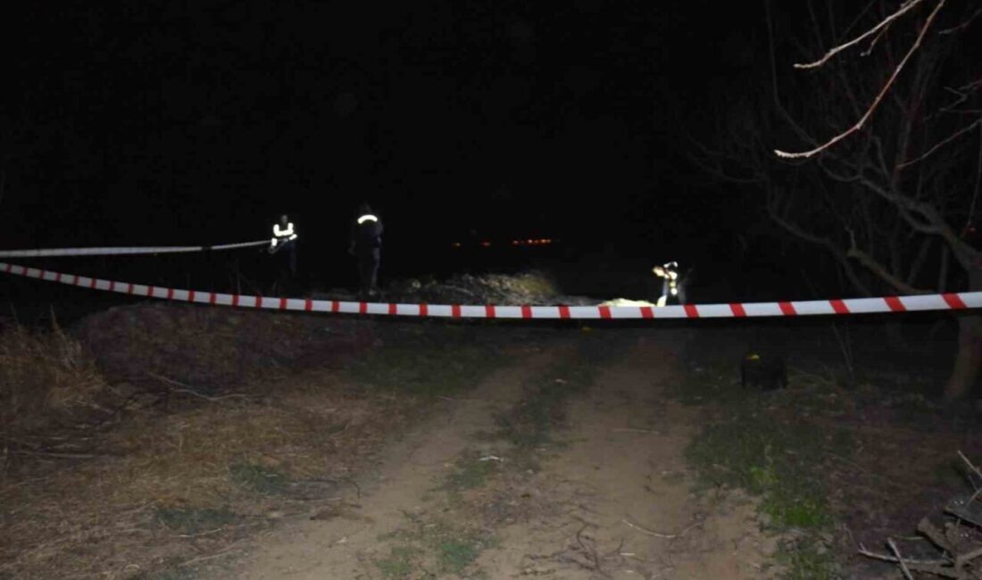 Denizli’de Hatice Baysal Cinayeti Davasında HTS Kayıtları İncelenecek Denizli'nin Acıpayam ilçesinde, asma yaprağı toplarken öldürülen Hatice Baysal cinayetinde,