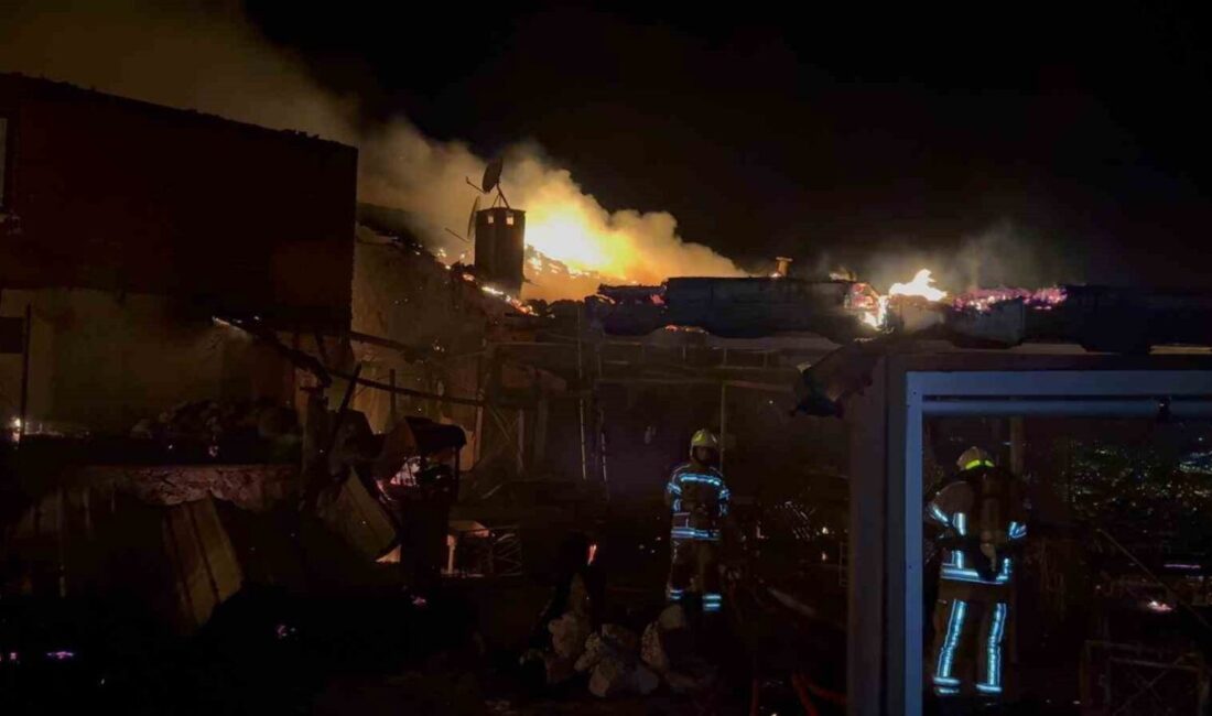 Gemlik'teki Kayalar Kafe, henüz belirlenemeyen bir nedenle çıkan yangında tamamen