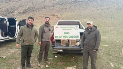 Muş'ta Doğa Koruma ve Milli Parklar ekipleri, yasa dışı kafes