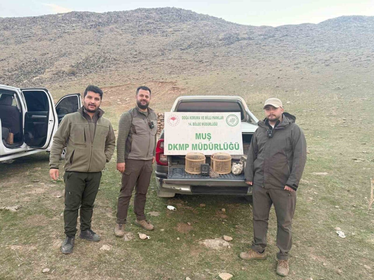 Muş'ta Doğa Koruma ve Milli Parklar ekipleri, yasa dışı kafes