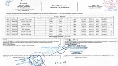 Kahramanmaraş merkezli Alpedo dondurma markası, basında çıkan "bakteri tespiti" iddialarının
