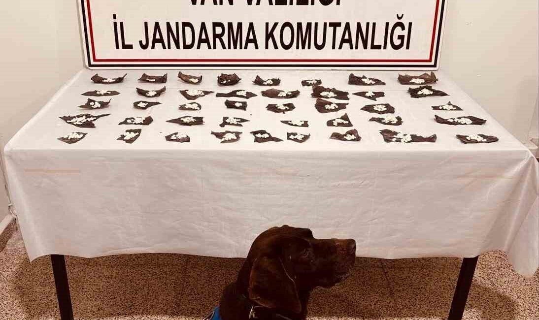 Van’ın Başkale ilçesinde jandarma, 460 kapsül içinde 171 gram bonzai