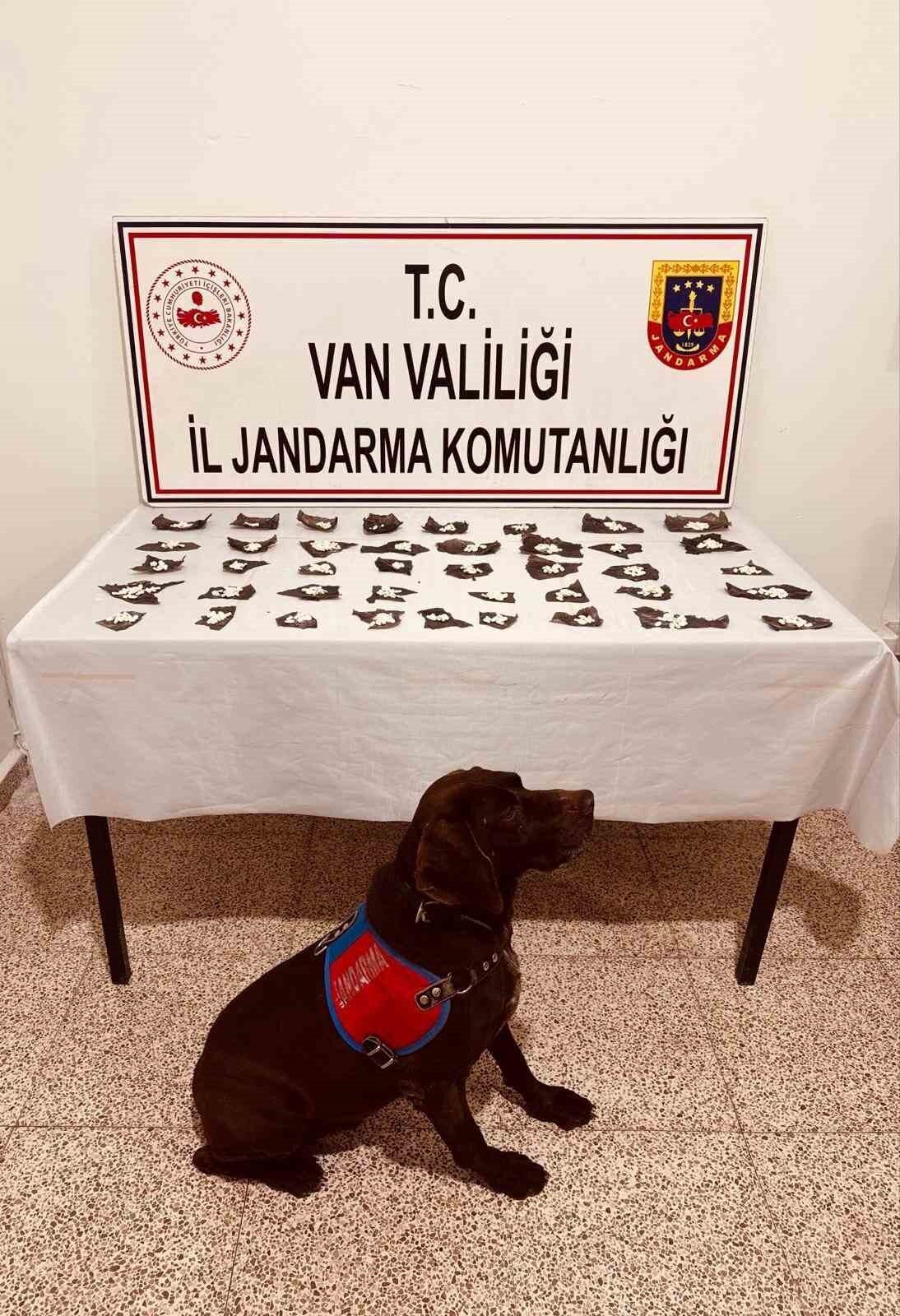 Van’ın Başkale ilçesinde jandarma, 460 kapsül içinde 171 gram bonzai