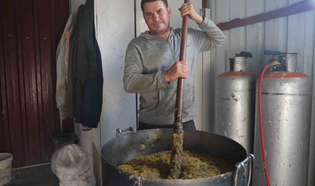 Hatay'da 30 yıldır sabun üretimi yapan Özcan Kaya, zeytinyağlı defne