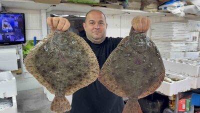 Karadeniz'de hamsi bolluğu, balıkçılar ve vatandaşlar için yüz güldürücü bir