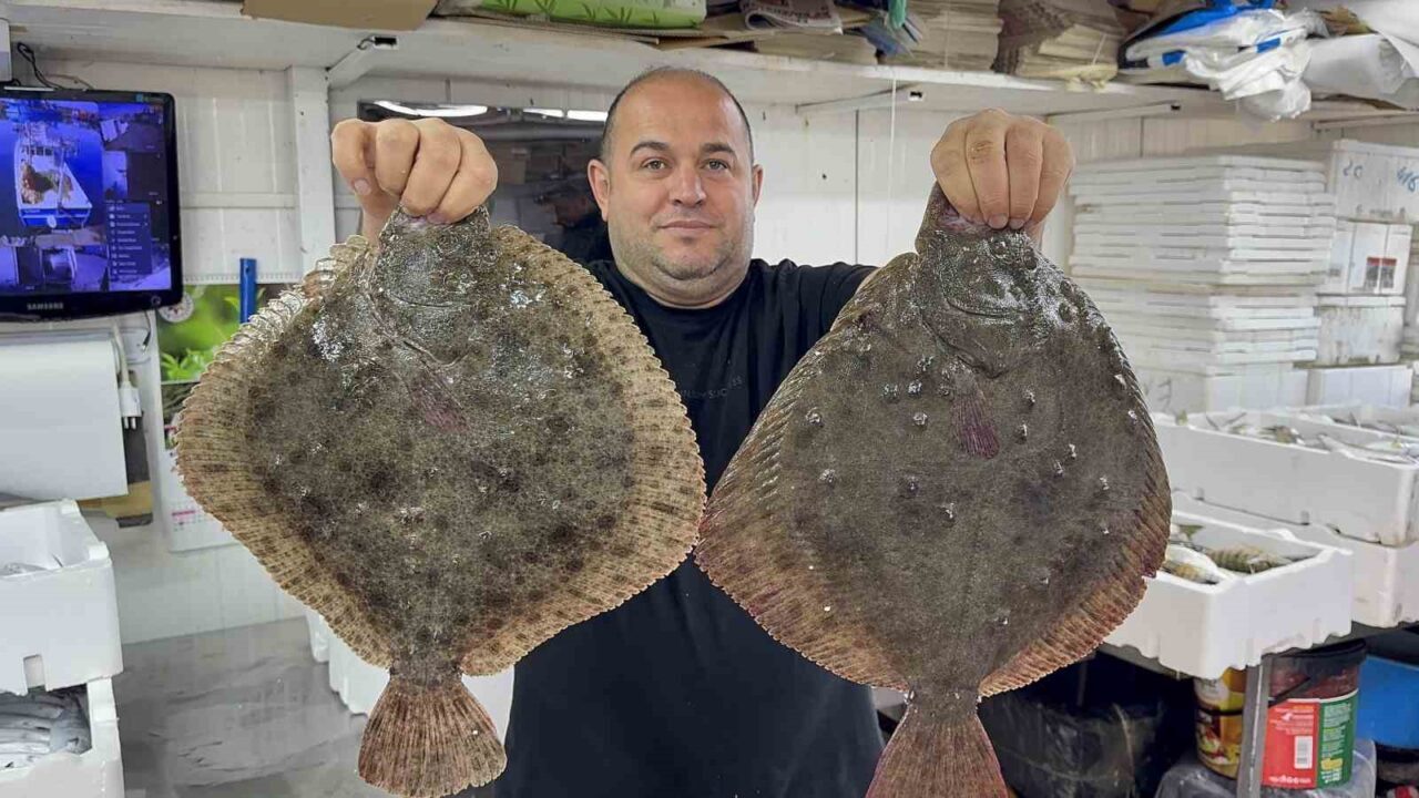 Karadeniz'de hamsi bolluğu, balıkçılar ve vatandaşlar için yüz güldürücü bir