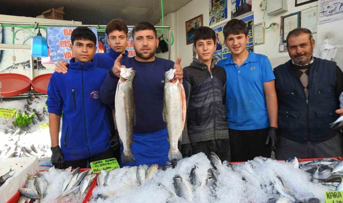 Karadeniz’deki Hamsi Bolluğu Kilis’te Fiyatları 100 Liraya Düşürdü, Vatandaşların Yoğun İlgisi Sürüyor Karadeniz’deki balık bolluğu, hamsinin Kilis'te kilosunun 100 liraya düşmesine sebep