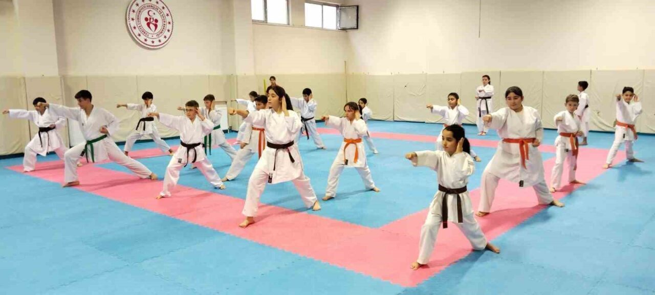 Eskişehir’deki Karate Kış Okulu 3. Grup çalışmaları, Yenikent Şehit Anıl