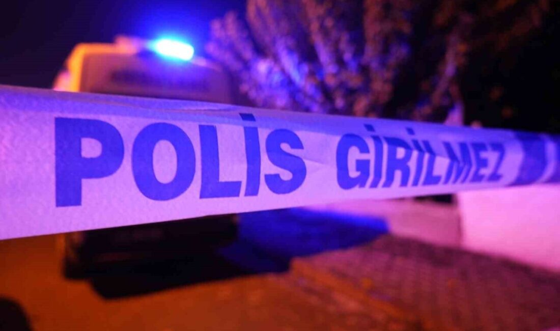 Kırıkkale’de kardeşi tarafından bıçaklanan güvenlik görevlisi hayatını kaybetti Kırıkkale'de 47 yaşındaki güvenlik görevlisi Ali Sağlam, kardeşi Y.S. tarafından