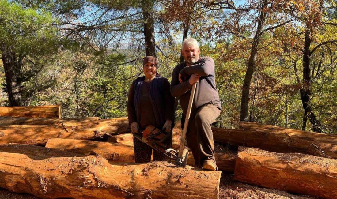 Mersin'in Bozyazı ilçesinden Antalya'nın Akseki ilçesine göç eden Mehmet ve